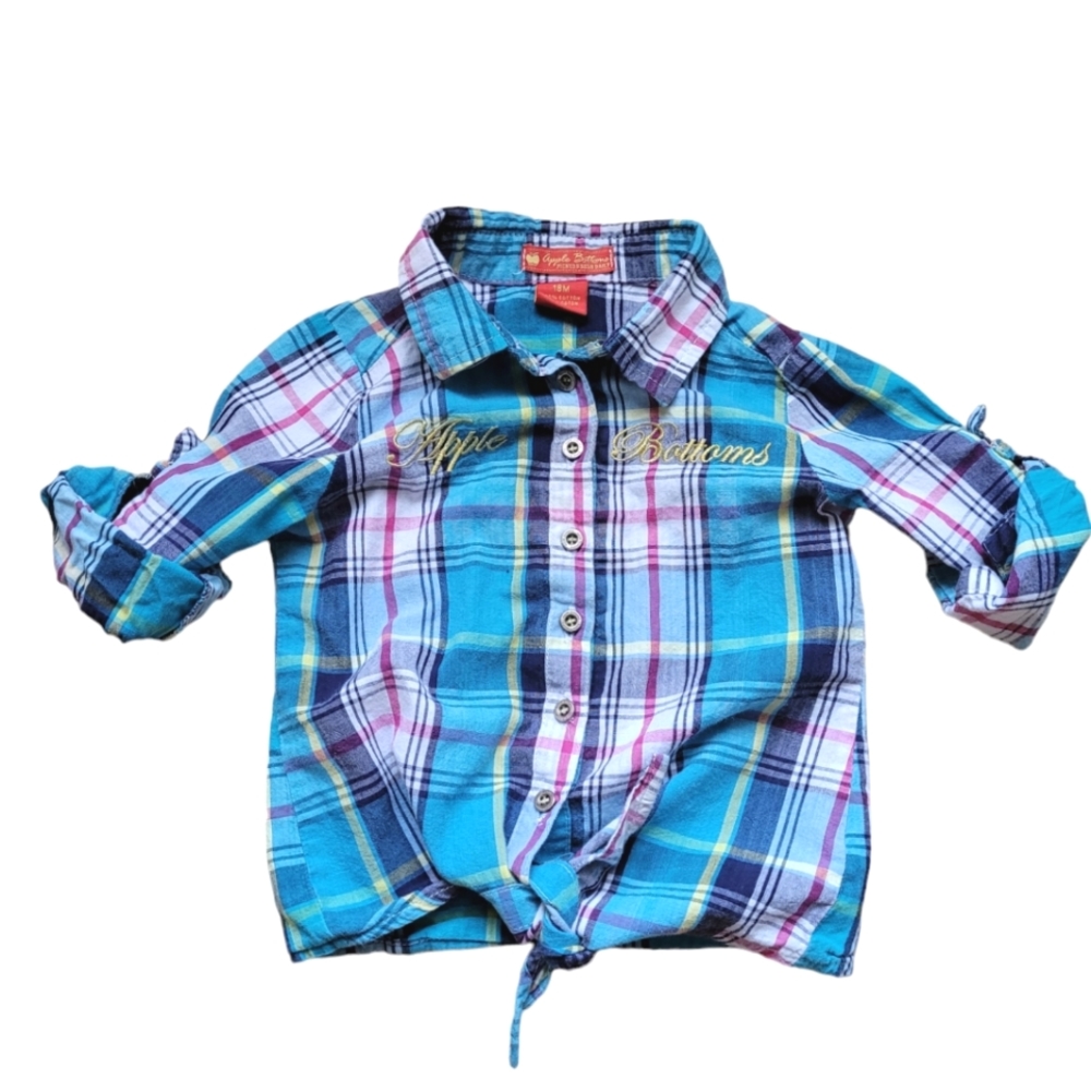Vintage Y2K Apple Bottoms Jeans plaid button down multicolored turquoise shirt